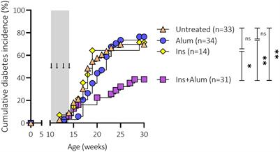 Preventing type 1 diabetes in late-stage pre-diabetic NOD mice with insulin: A central role for alum as adjuvant